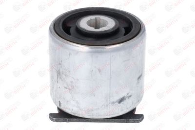 SUPORT AX BIRTH 53908 1