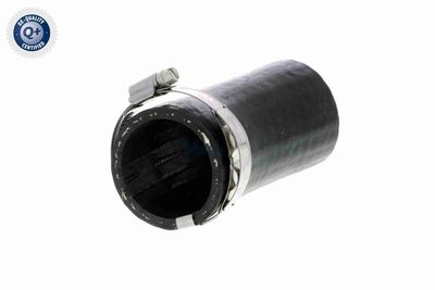 FURTUN EAR SUPRAALIMENTARE VAICO V103803 8