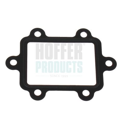 Těsnění, AGR ventil HOFFER 016173
