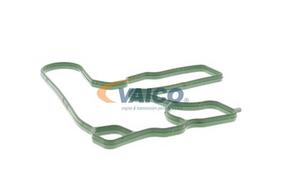 DICHTUNG KURBELGEHäUSEENTLüFTUNG VAICO V103884 44