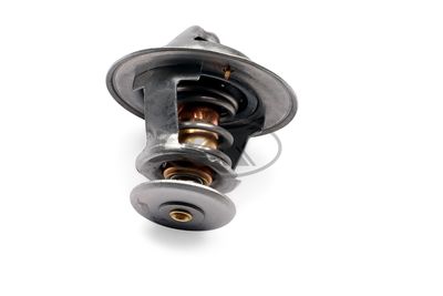 TERMOSTAT LICHID RACIRE GK 701317 1