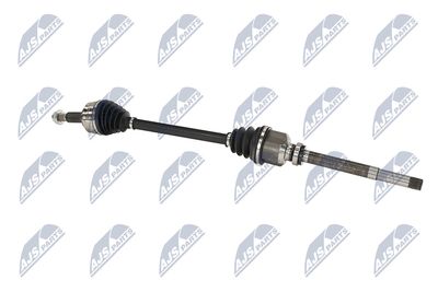 PLANETARA NTY NPWPE017 27