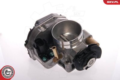 Throttle Body 12SKV016