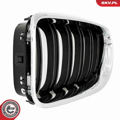 GRILA RADIATOR ESEN SKV 66SKV208 9