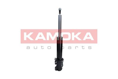 Shock Absorber 2000476