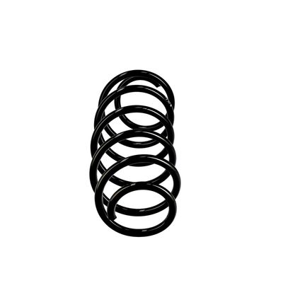 ARC SPIRAL EIBACH R10255 13