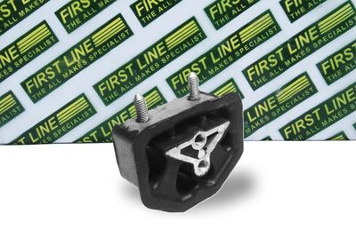 окачване, двигател FIRST LINE FEM3019