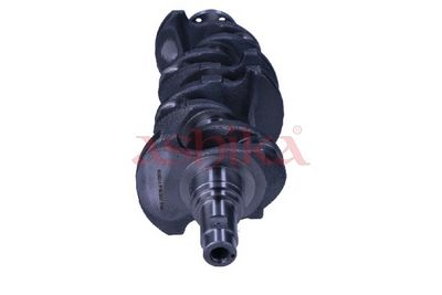 ARBORE COTIT ASHIKA 18TY007 2