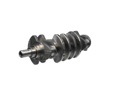 ARBORE COTIT ET ENGINETEAM HK0205 15