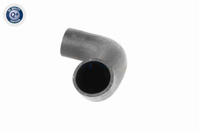 FURTUN EAR SUPRAALIMENTARE ACKOJA A380298 3