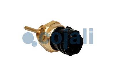 Sensor, kylmedietemperatur COJALI 2260982