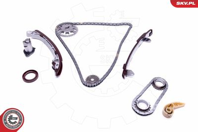 Timing Chain Kit 21SKV195