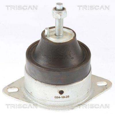 TRISCAN Lagerung, Motor (8505 10119)