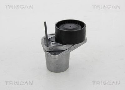 Натяжитель ремня, клиновой зубча TRISCAN 8641 251018 для NISSAN NV300