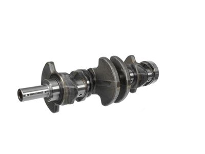 ARBORE COTIT ET ENGINETEAM HK0130 14