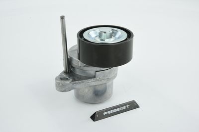 INTINZATOR CUREA CUREA DISTRIBUTIE FEBEST 0290G15RA 48