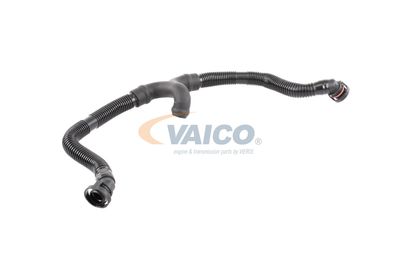 FURTUN AERISIRE CHIULASA VAICO V103696 55