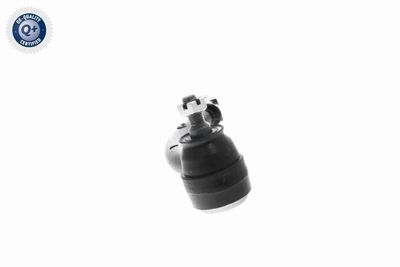 CAP DE BARA ACKOJA A539621 8