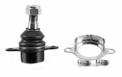 TRAG-/FüHRUNGSGELENK