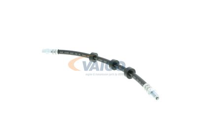 FURTUN FRANA VAICO V959580 8