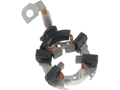 Halter, Kohlebürsten