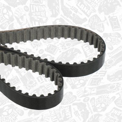 SET CUREA DE DISTRIBUTIE ET ENGINETEAM RM0024 6