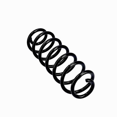 ARC SPIRAL EIBACH R10793 23