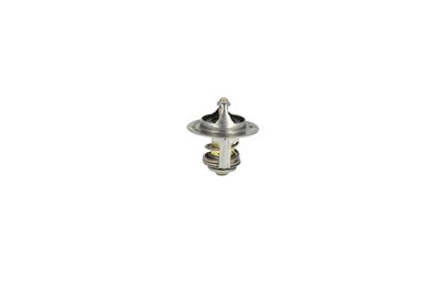 TERMOSTAT LICHID RACIRE NRF 725173 35