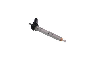 INJECTOR REMANTE 002003001039R 53