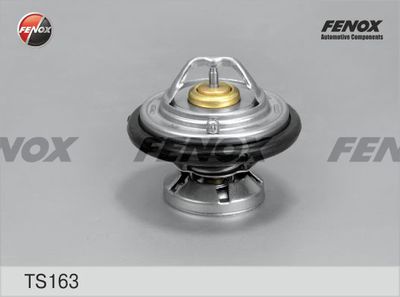 Термостат, охлаждающая жидкость FENOX TS163 для BMW 2000