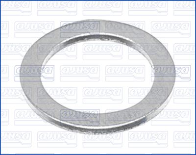 Seal Ring, oil drain plug 22007000