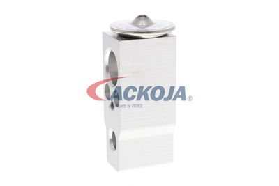 SUPAPA EXPANSIUNE CLIMA ACKOJA A70770008 21