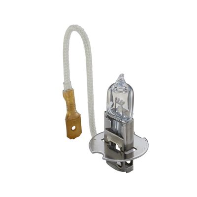 BEC INCANDESCENT BOSCH 1987302431 23