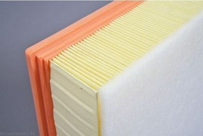 FILTRU AER AUTOMEGA 180072910 2