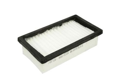 Cabinefilter 207x115x53, (en) anti-dust with high efficiency past: CASE IH 100 PRO, 105 PRO, 80 PRO, 85 PRO, 90 PRO, 95 PRO, 140, 150, 160, 175, 195, 100, 110, 110 CVX, 115, 120, 120 CVX, 125, 130
