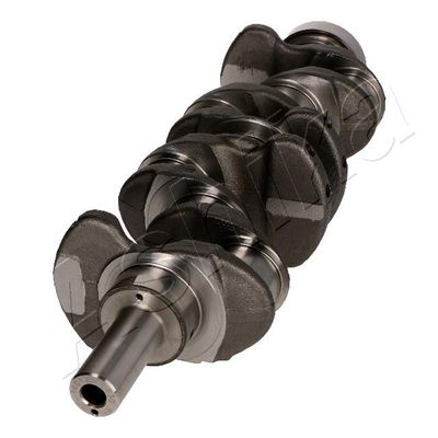 ARBORE COTIT ASHIKA 18KI003 4