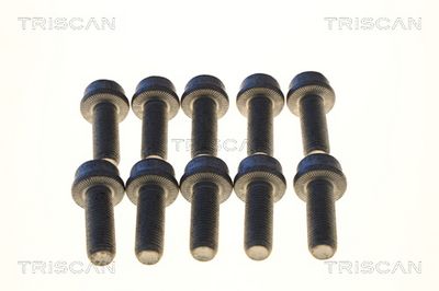 носач, окачване на колелата TRISCAN 8500 10508