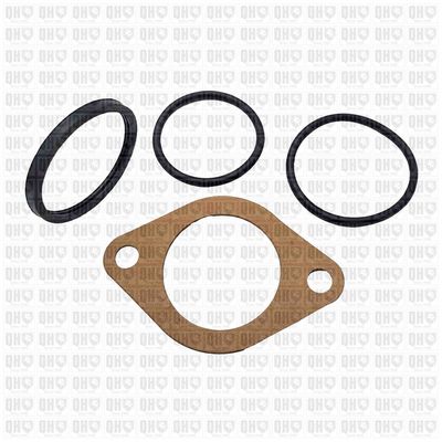 TERMOSTAT LICHID RACIRE QUINTON HAZELL QTH481K 3