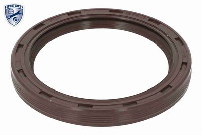 SET CUREA DE DISTRIBUTIE VAICO V253148 14