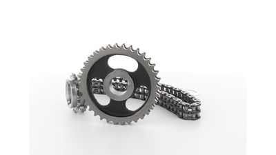 STEUERKETTENSATZ SKF VKML81008 18