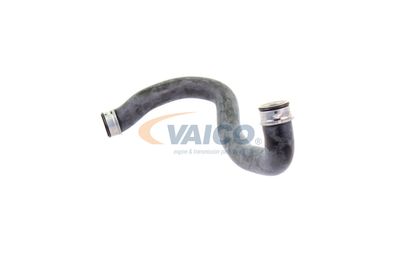 KüHLERSCHLAUCH VAICO V302224 20