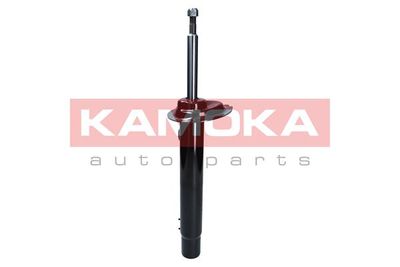 Shock Absorber 2000417