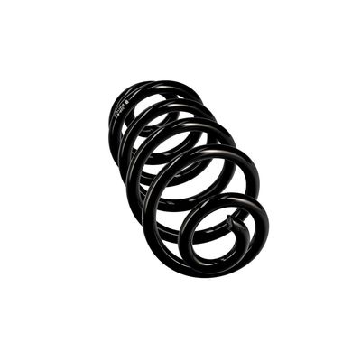 ARC SPIRAL EIBACH R10114 12