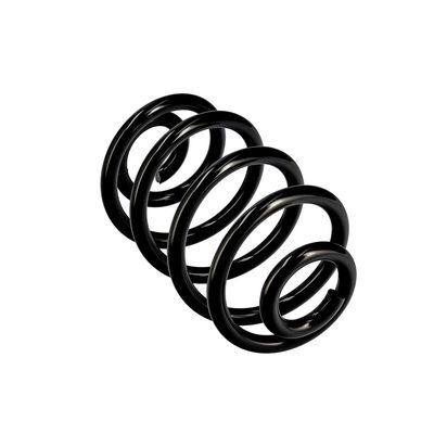 ARC SPIRAL EIBACH R10050 23