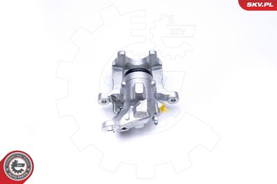 Brake Caliper 45SKV213