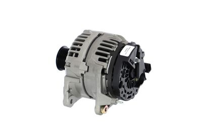 GENERATOR / ALTERNATOR REMANTE 011003000503R 19