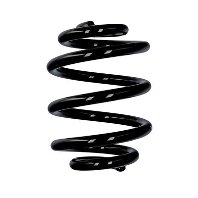 ARC SPIRAL EIBACH R10087 25