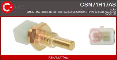 SENZOR TEMPERATURA LICHID DE RACIRE