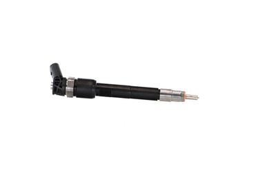 INJECTOR REMANTE 002003002283R 40
