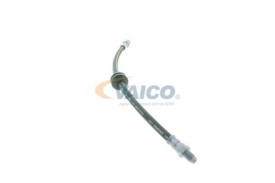 FURTUN FRANA VAICO V240954 36